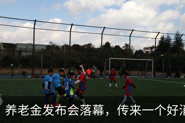 养老金发布会落幕，传来一个好消息！