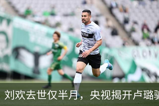 刘欢去世仅半月，央视揭开卢璐骗局内幕