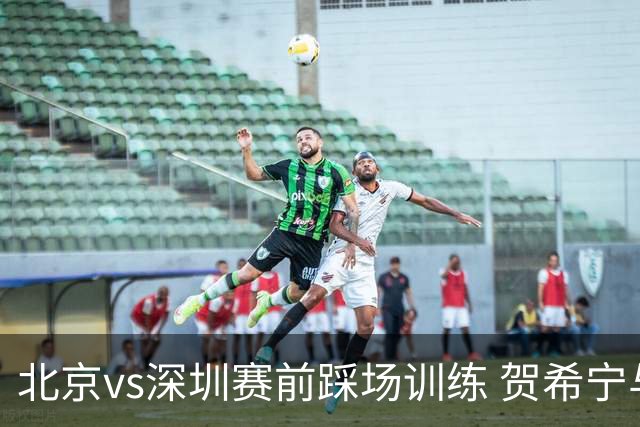 北京vs深圳赛前踩场训练 贺希宁与曾凡博聊上悄悄话了