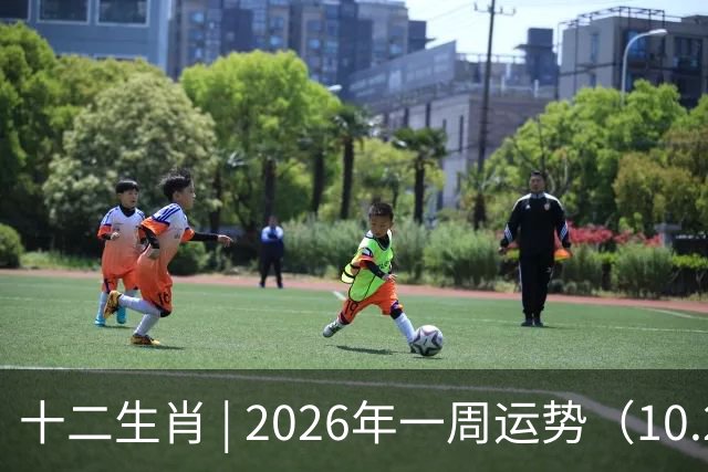 十二生肖 | 2026年一周运势（10.26-11.1）
