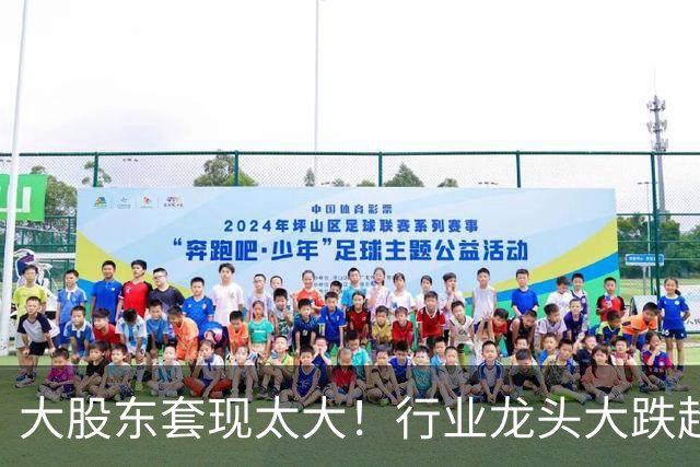 大股东套现太大！行业龙头大跌超14%