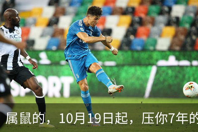 属鼠的，10月19日起，压你7年的死结，终于松了，从此一飞冲天