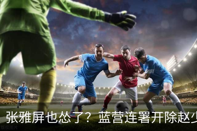 张雅屏也怂了？蓝营连署开除赵少康，张雅屏：联署人数不能替代事证