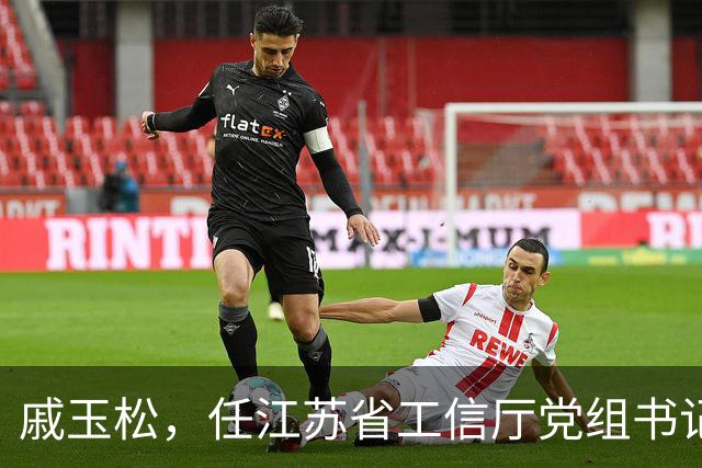 戚玉松，任江苏省工信厅党组书记！水利部党组决定，白岩红履新！