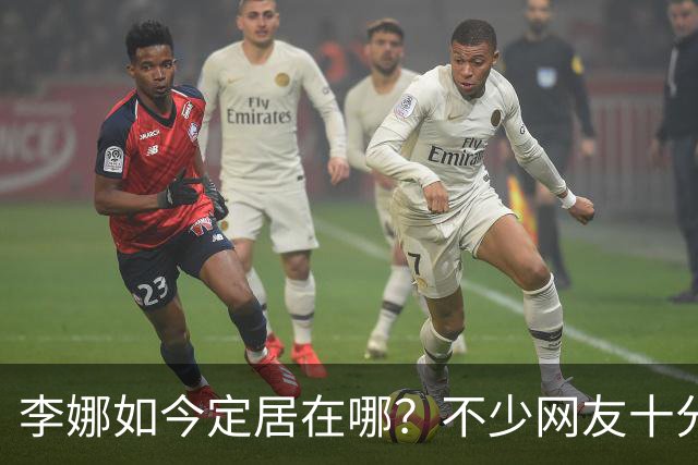 李娜如今定居在哪？不少网友十分好奇
