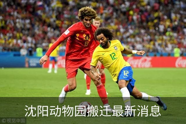 沈阳动物园搬迁最新消息