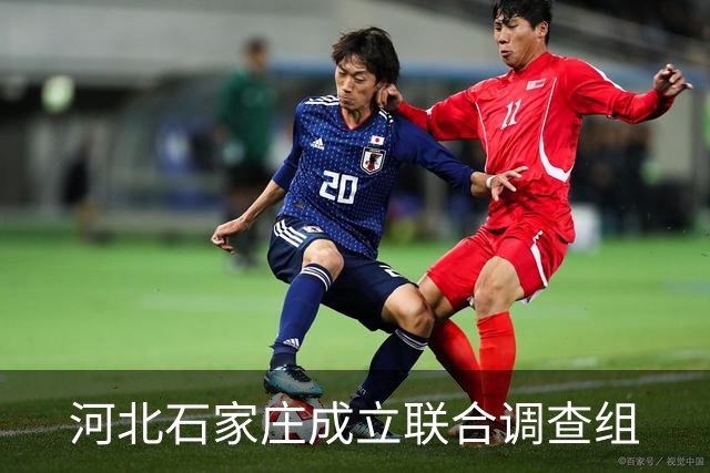 河北石家庄成立联合调查组