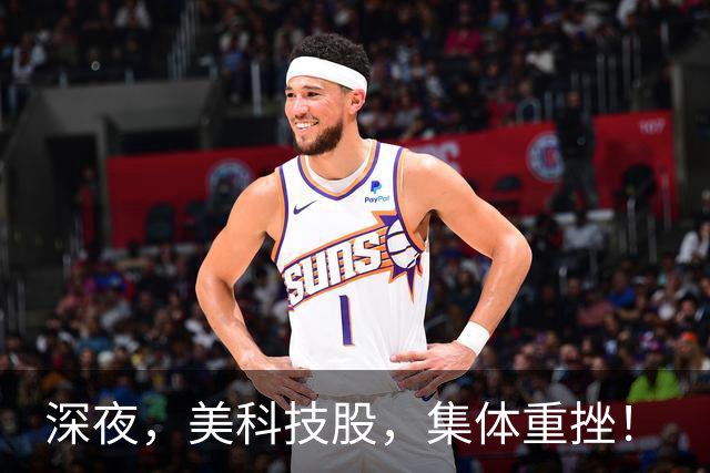 深夜，美科技股，集体重挫！