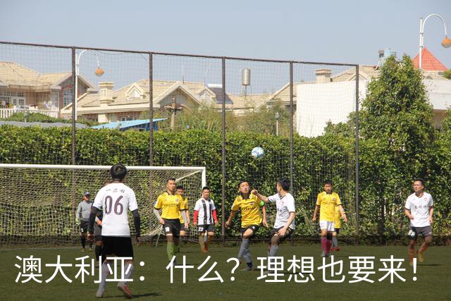 澳大利亚：什么？理想也要来！