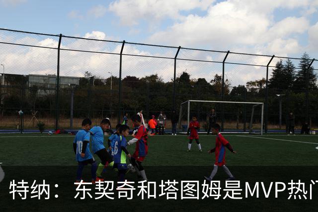 特纳：东契奇和塔图姆是MVP热门 塔图姆有望场均32到33分