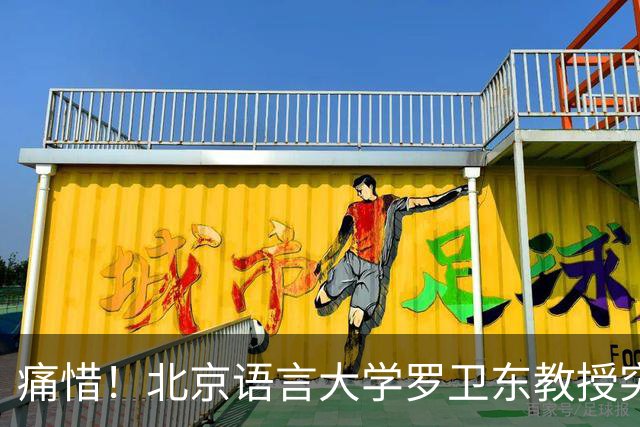 痛惜！北京语言大学罗卫东教授突然去世了，年仅59岁，生前经历让人敬佩！
