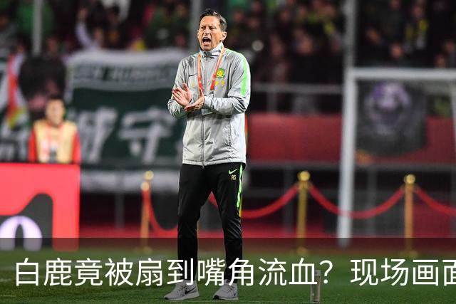 白鹿竟被扇到嘴角流血？现场画面曝光太揪心！