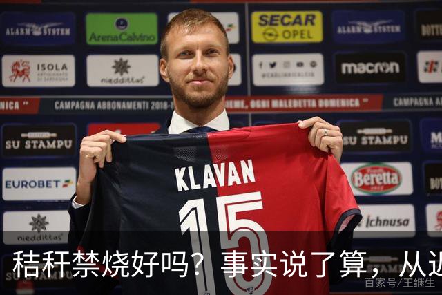 秸秆禁烧好吗？事实说了算，从近年蚯蚓鸟类和蛇类数量就可看出来