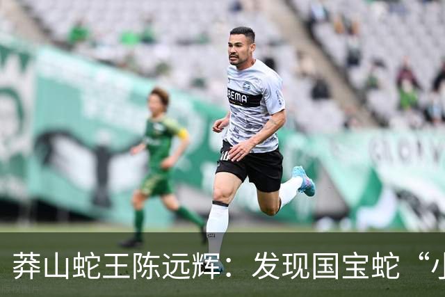 莽山蛇王陈远辉：发现国宝蛇“小青龙”，养100多条每条价格千万
