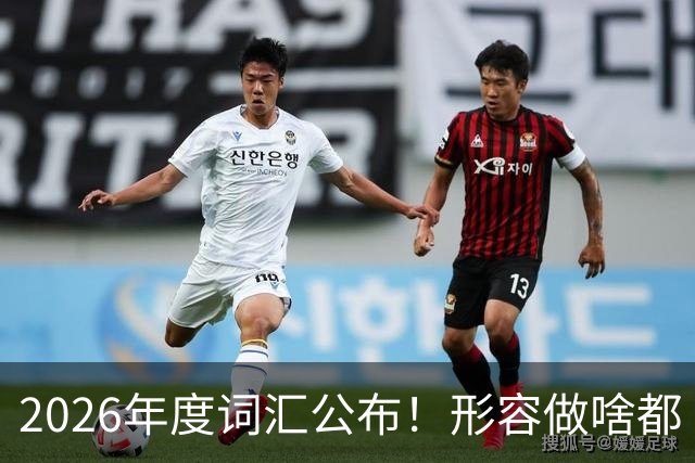 2026年度词汇公布！形容做啥都“极致化”，颜值博主成最大赢家？