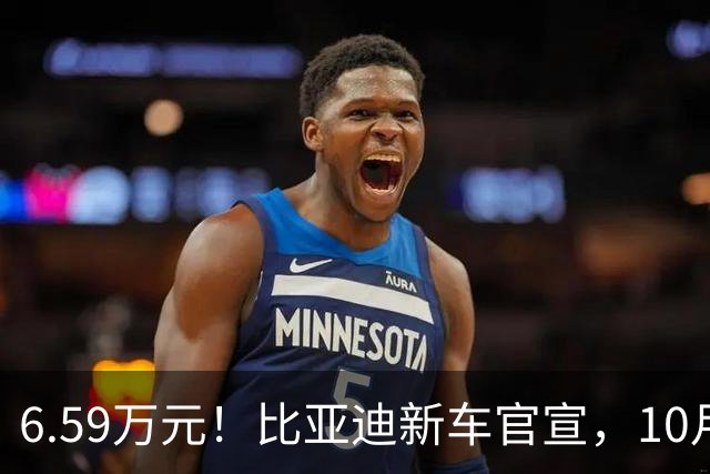 6.59万元！比亚迪新车官宣，10月21日开售