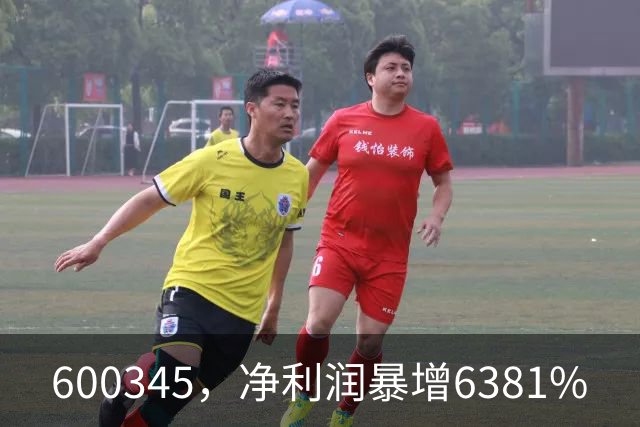 600345，净利润暴增6381%