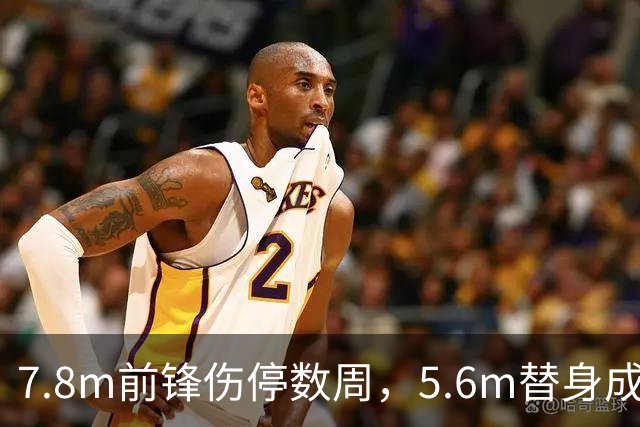 7.8m前锋伤停数周，5.6m替身成首选