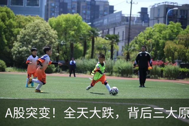 A股突变！全天大跌，背后三大原因曝光