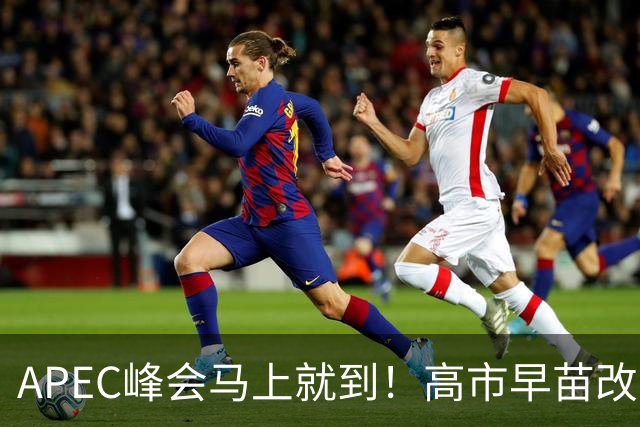 APEC峰会马上就到！高市早苗改口了：只是表面服软，中国不能上当