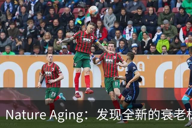 Nature Aging：发现全新的衰老标志——脂质延长