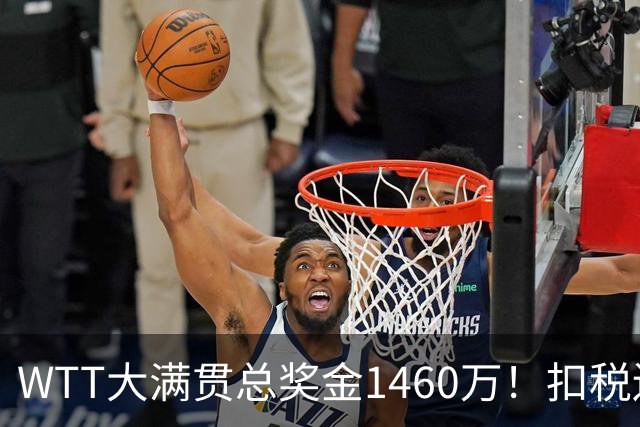 WTT大满贯总奖金1460万！扣税还要分摊团队成本，王曼昱最后能拿到多少钱？
